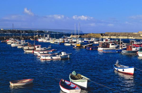 摩洛哥货运代理行业形势如何？其在国际贸易发展中的作用有哪些？