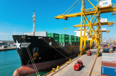 国际海运物流公司：高效运输，缩短木材出口时空距离